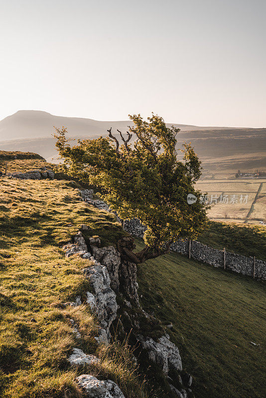 英国，英格兰，约克郡山谷，Twistleton Scars